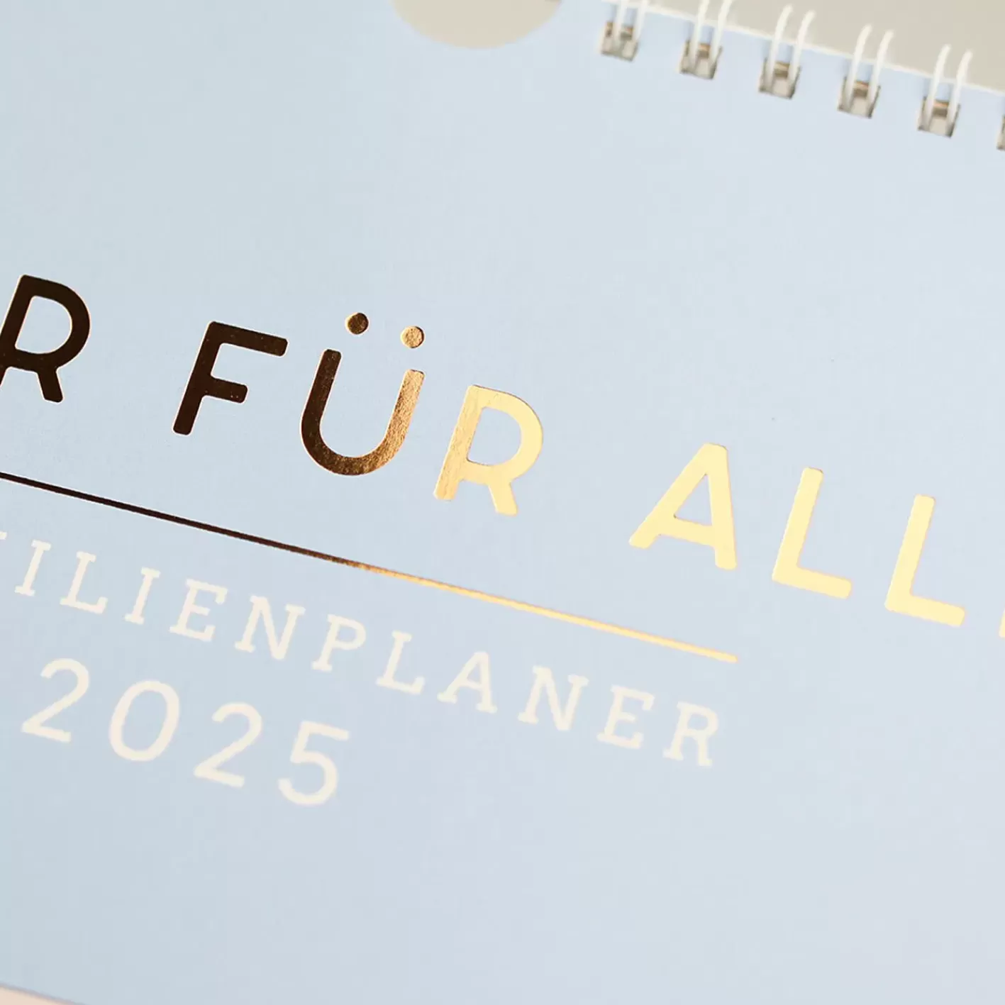 NANU-NANA Familienplaner 2025, Petrol Cheap