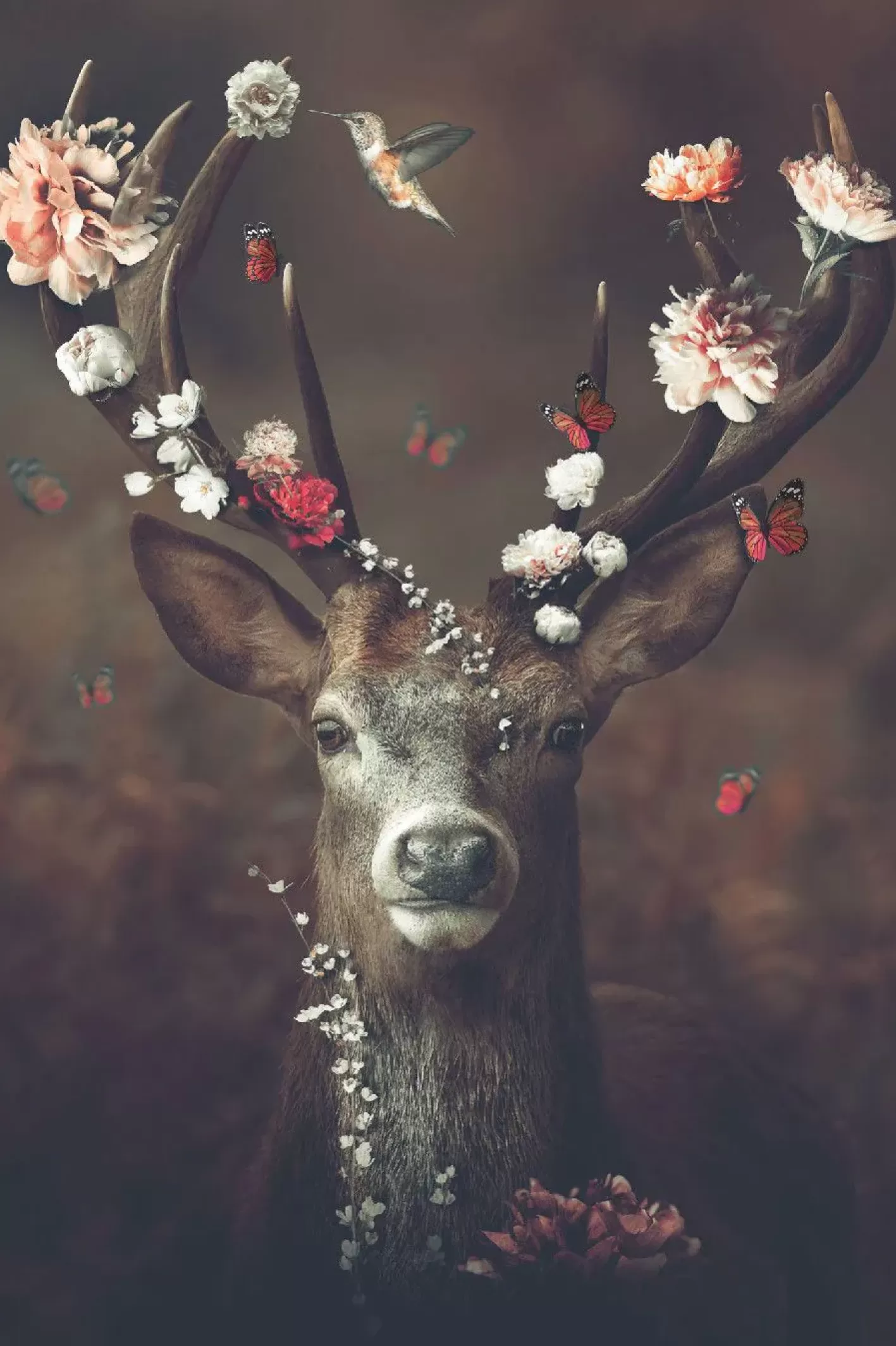 NANU-NANA Poster Fauna, Flora, Deer, Nr. 19 Store