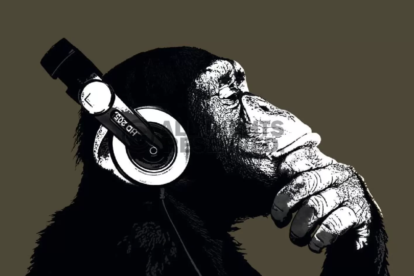 NANU-NANA Poster The Chimp - Stereo, Nr. 155 Online