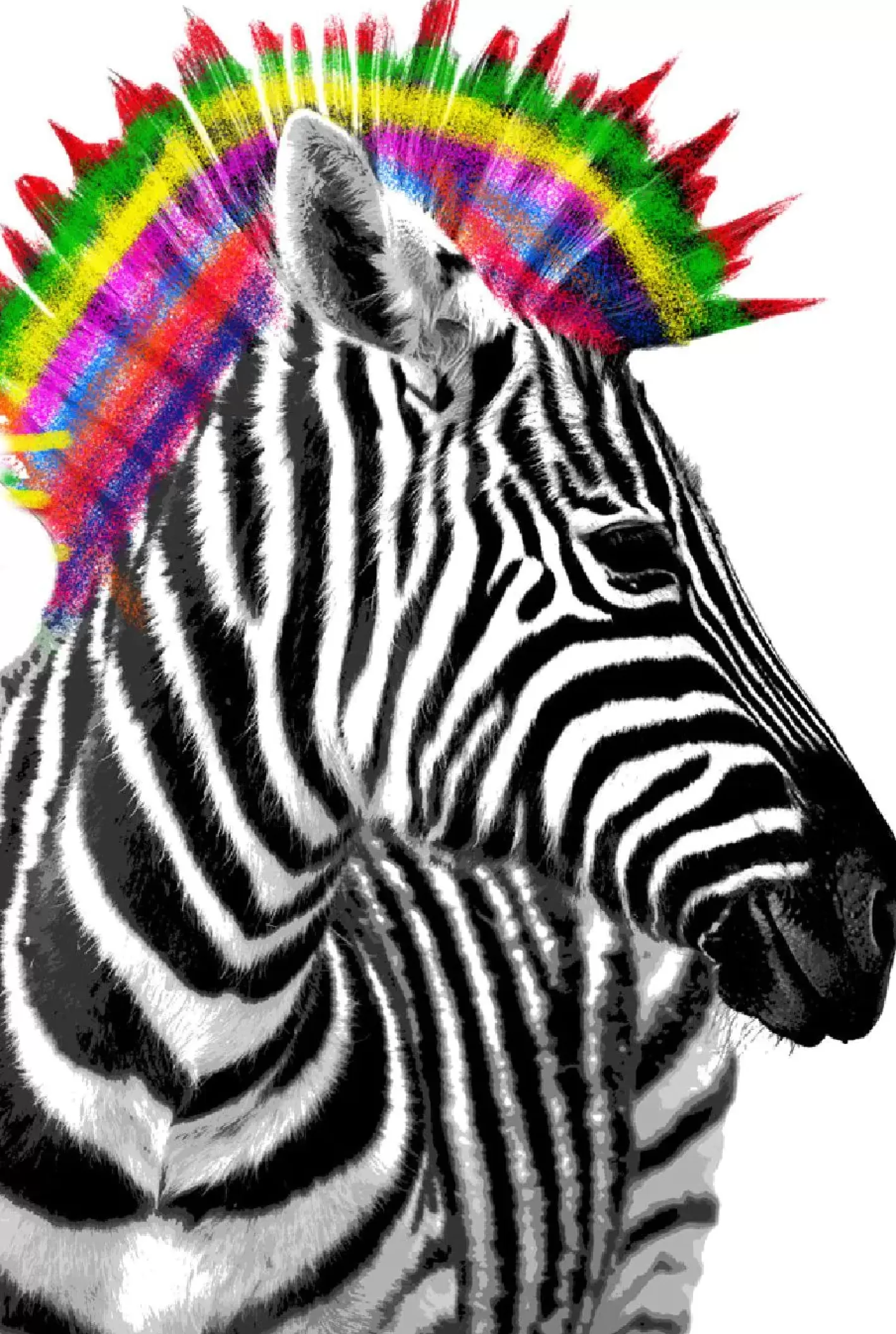 NANU-NANA Poster Zebra Punk, Nr. 238 Cheap