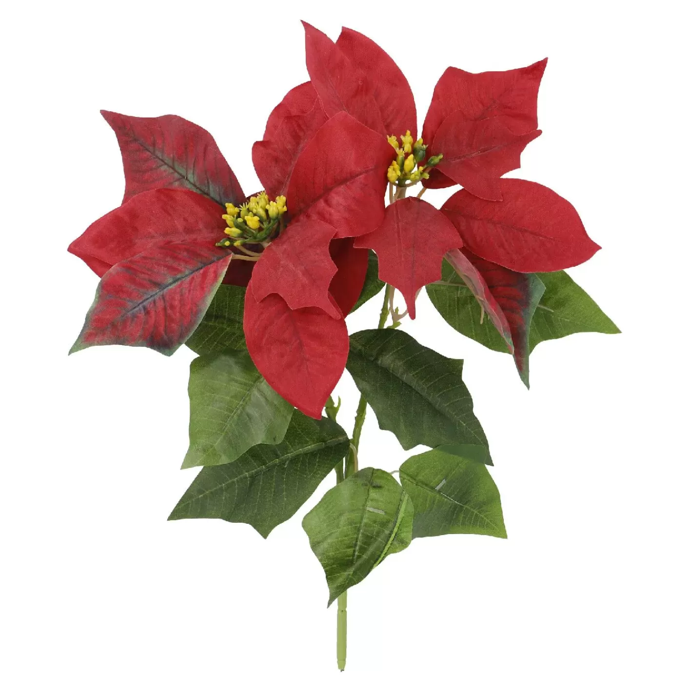 NANU-NANA Weihnachtsstern 2 Blüten/rot, 31 Cm Flash Sale