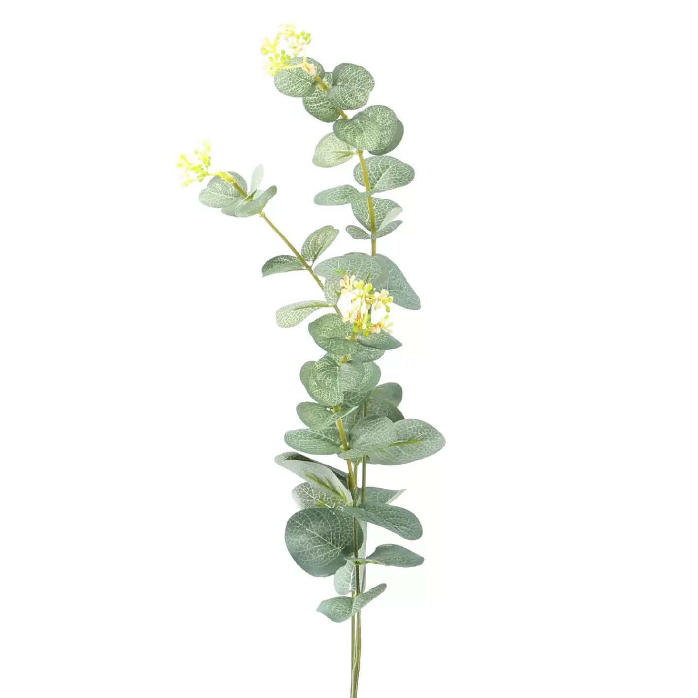 NANU-NANA Zweig Eucalyptus, 60 Cm Flash Sale